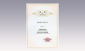 2011年中国色彩提名奖